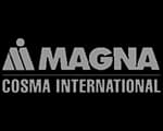 Logotipo de Magna Cosma International